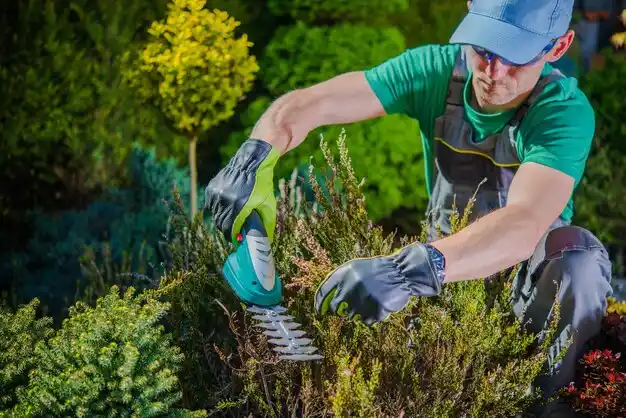 landscaping services Crystal Lakes